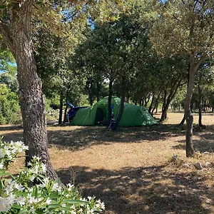 Campsite Camping Sugar, Mandre