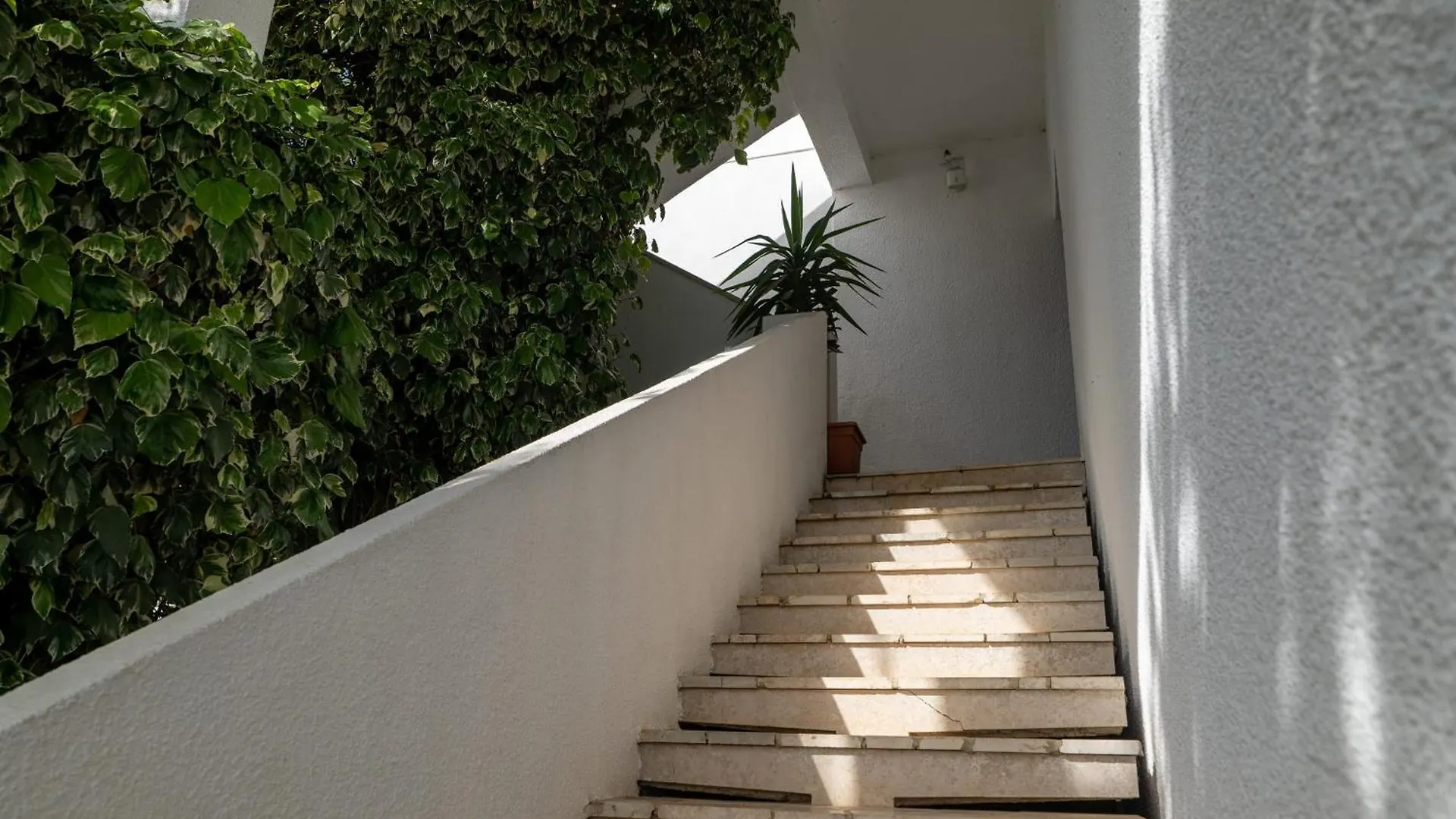Holiday home Apartment W/ Spacious Terrace Mandre